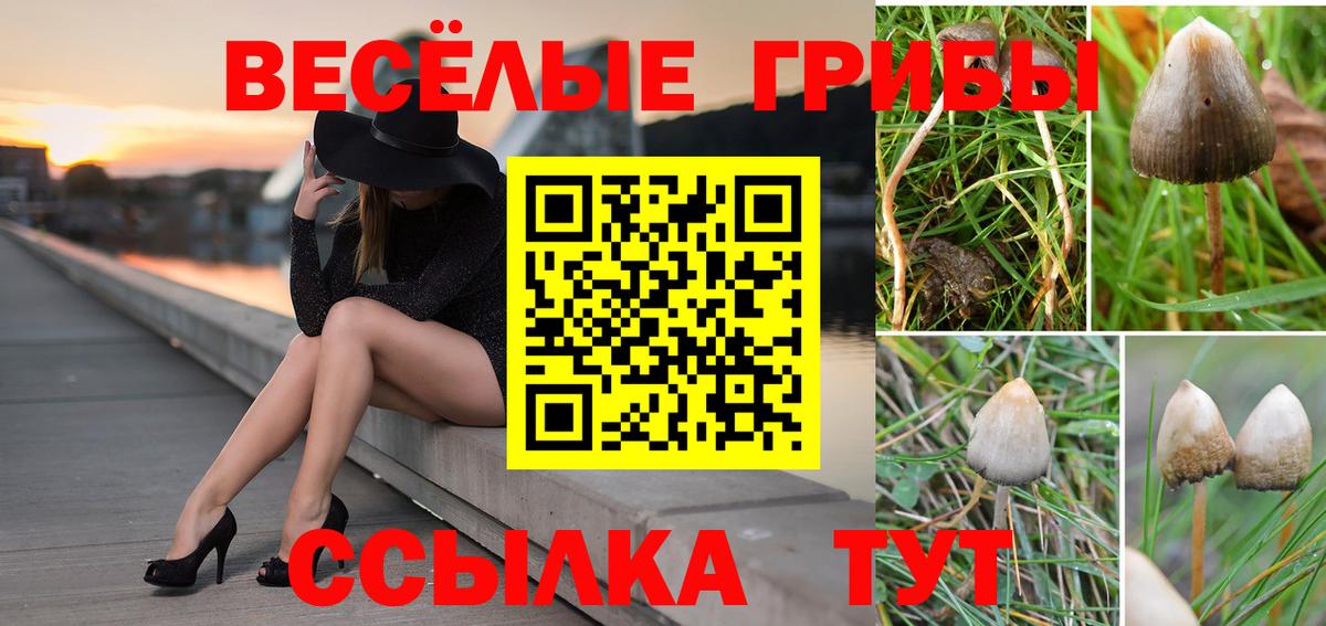 Волжский  Псилоцибиновые грибы Magic Shrooms  Вход с VPN 