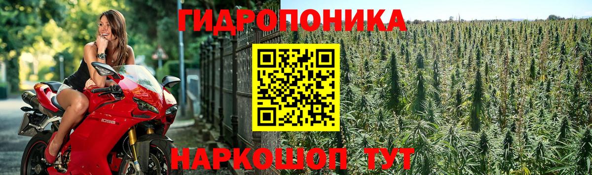 Бошки марихуана LSD WEED  Марихуана планчик  Вход с VPN  Бошки марихуана SATIVA & INDICA  Волжский 